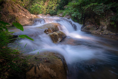 Scenic view of waterfall in forest