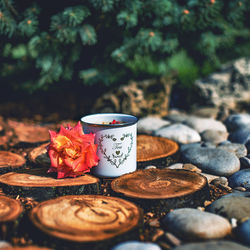 Mug by flower on log