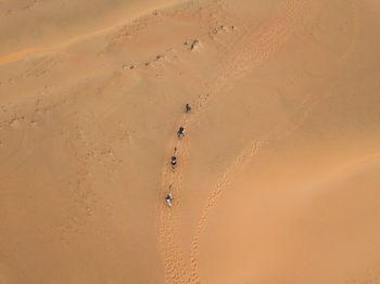 Scenic view of sand dune