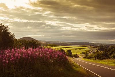 Scenic view of field by road against cloudy sky