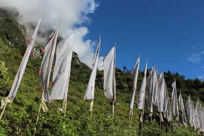 Clothes drying on field against sky