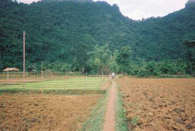 Road passing through landscape