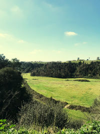 Scenic view of landscape against sky