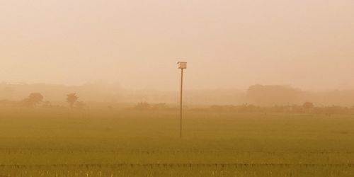 Scenic view of field against sky during foggy weather