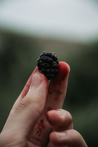 Close-up of hand holding fruit