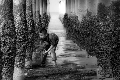 Rear view of man walking amidst trees