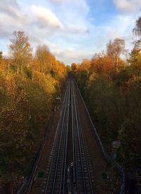 Railway tracks amidst trees against sky