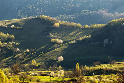 View of green hills