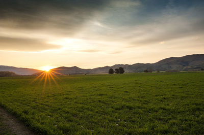 Scenic view of field against sky during sunset