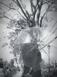 Close-up of hand holding glass against trees