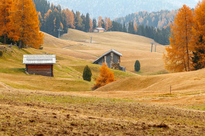 Scenic view of trees and houses during autumn