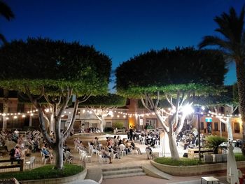 People at illuminated park against sky at night