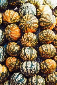 Full frame shot of pumpkins