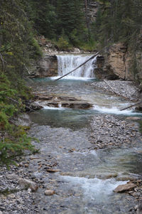 Scenic view of waterfall in forest