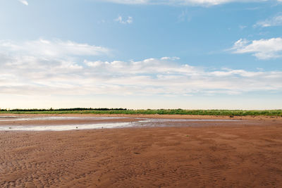 Scenic view of beach