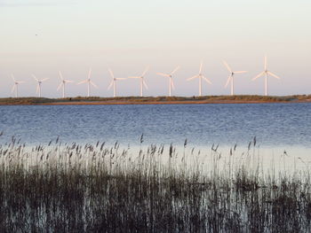 Wind turbines on sea shore against sky