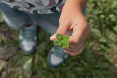 Close-up of hand holding plant