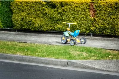 Man riding bicycle on road