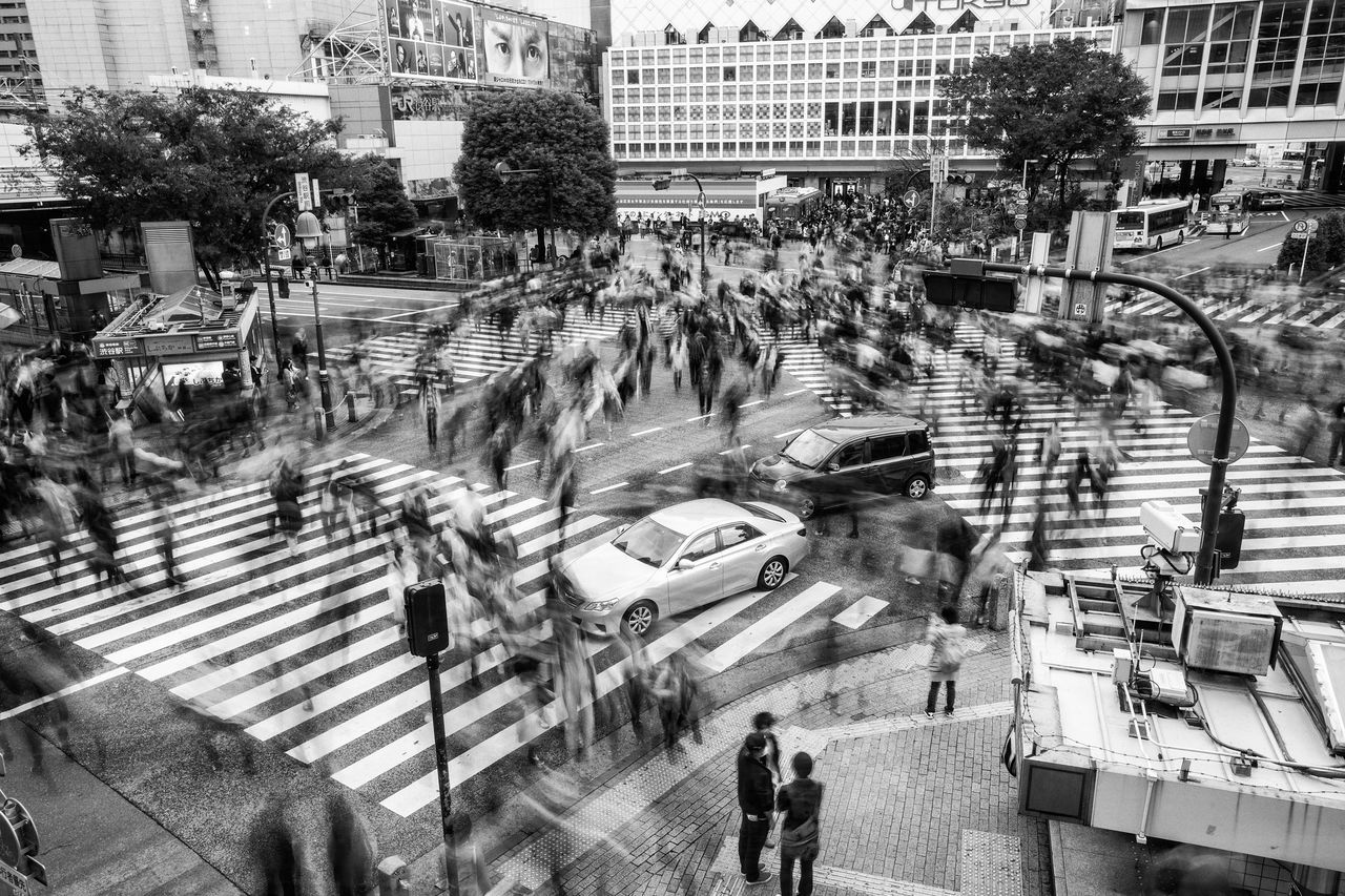 high angle view, city, large group of people, building exterior, architecture, walking, built structure, street, city life, tree, land vehicle, elevated view, transportation, rush hour, person, city street, travel destinations, crowd, outdoors, town square, day, office building