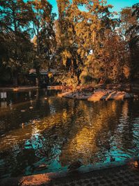 Reflection of trees in lake during autumn