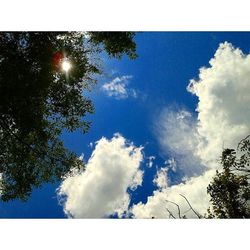 Low angle view of trees against cloudy sky