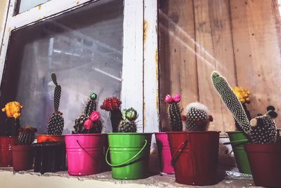 Close-up of potted plants on table