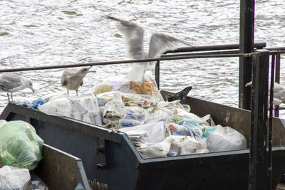 High angle view of garbage in river