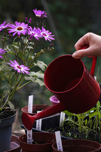 Midsection of person holding potted plant