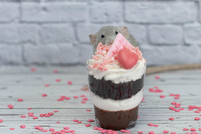 Close-up of cupcakes on table