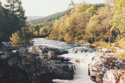 River flowing through rocks in forest