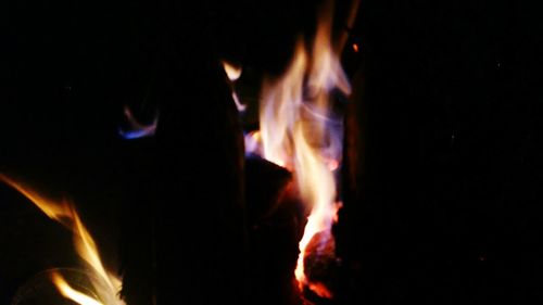 Close-up of bonfire at night