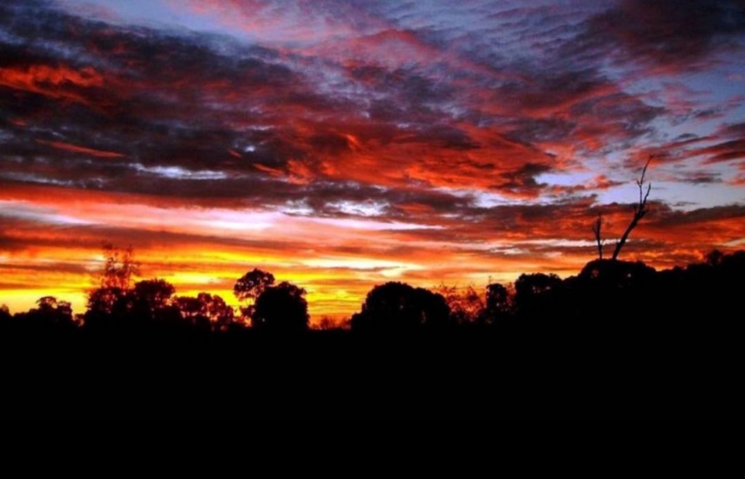 sky, cloud, sunset, silhouette, beauty in nature, red sky at morning, afterglow, scenics - nature, tranquility, tree, tranquil scene, nature, dramatic sky, orange color, plant, no people, landscape, environment, horizon, idyllic, dawn, evening, outdoors, non-urban scene, land, dark, growth