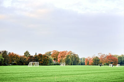 Trees on countryside landscape in park