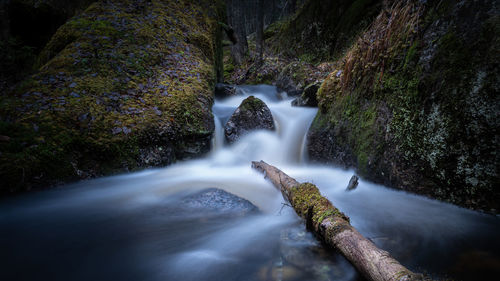 Small river with a waterfall between moss-grown boulders in a wild nordic forest