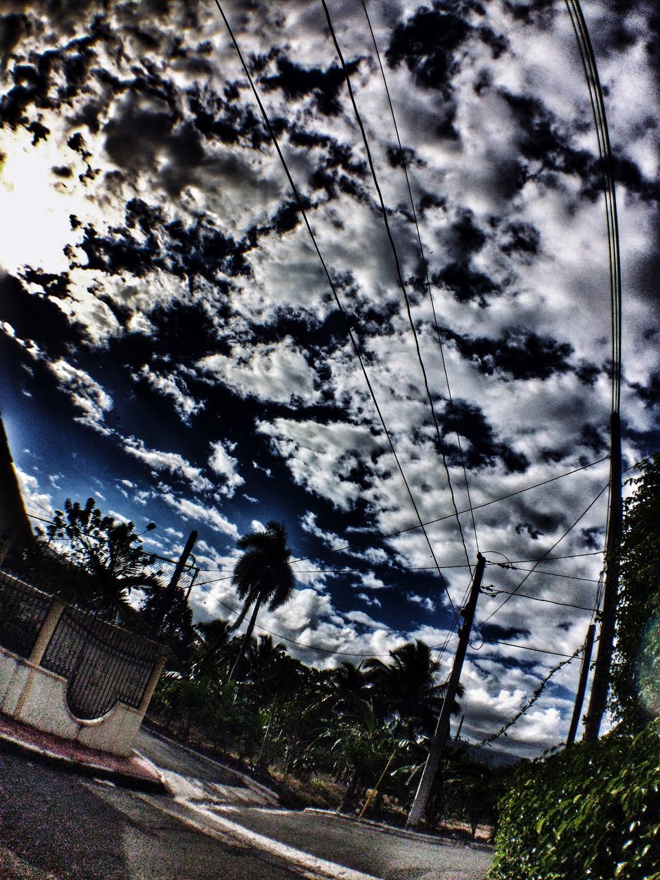 sky, cloud - sky, cloudy, power line, cloud, low angle view, cable, transportation, weather, electricity pylon, day, animal themes, nature, outdoors, street, no people, connection, tree, road, sunlight