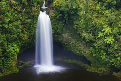 Scenic view of waterfall in forest