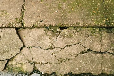 Full frame shot of cracked land