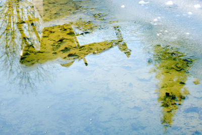 Full frame shot of water