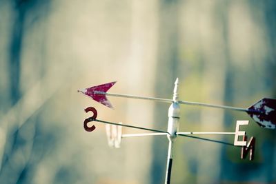 Close-up of weather vane against blurred background