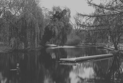 Reflection of trees in river