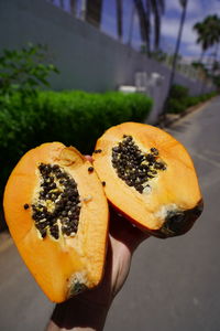 Close-up of hand holding orange
