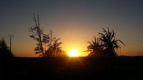 Silhouette trees against sky during sunset