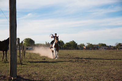 Horse riding horses on field against sky