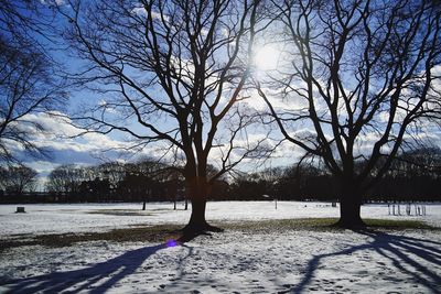 Trees by lake against sky during winter