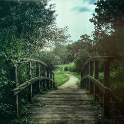 Footbridge amidst trees against sky