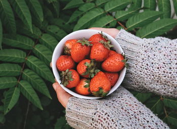 Cropped hands holding strawberries in bowl