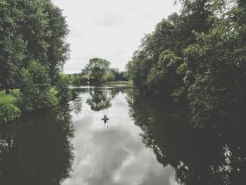 Reflection of trees in lake