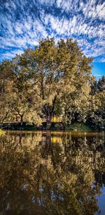 Scenic view of lake in forest against sky