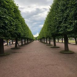 Footpath amidst trees in park against sky