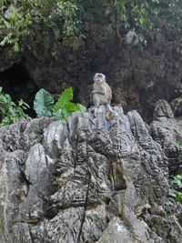 Statue sitting on rock